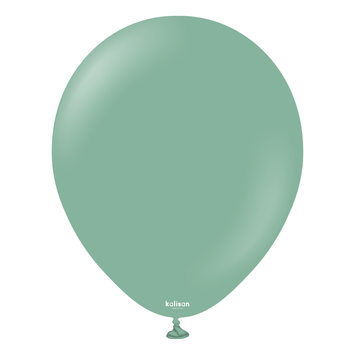 12'' Retro Balon Adaçayı (Sage)  100’lü
