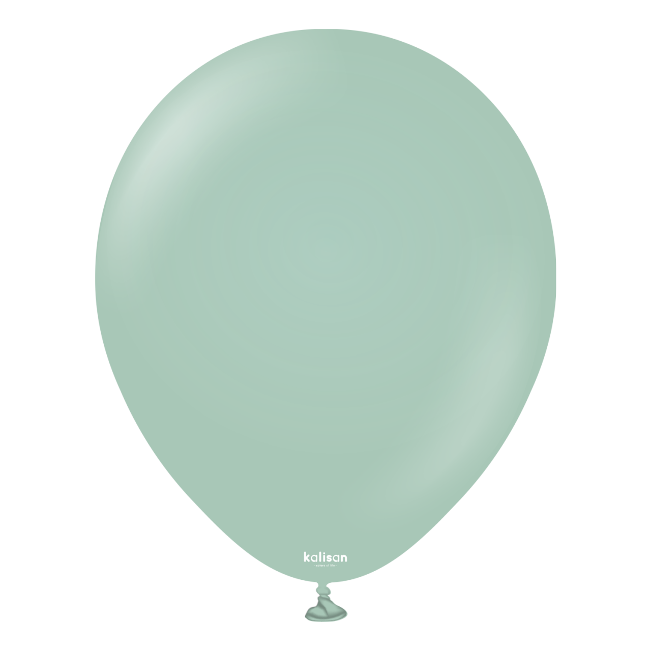 12'' Retro Balon Kış Yeşili (Winter Green) 100’lü