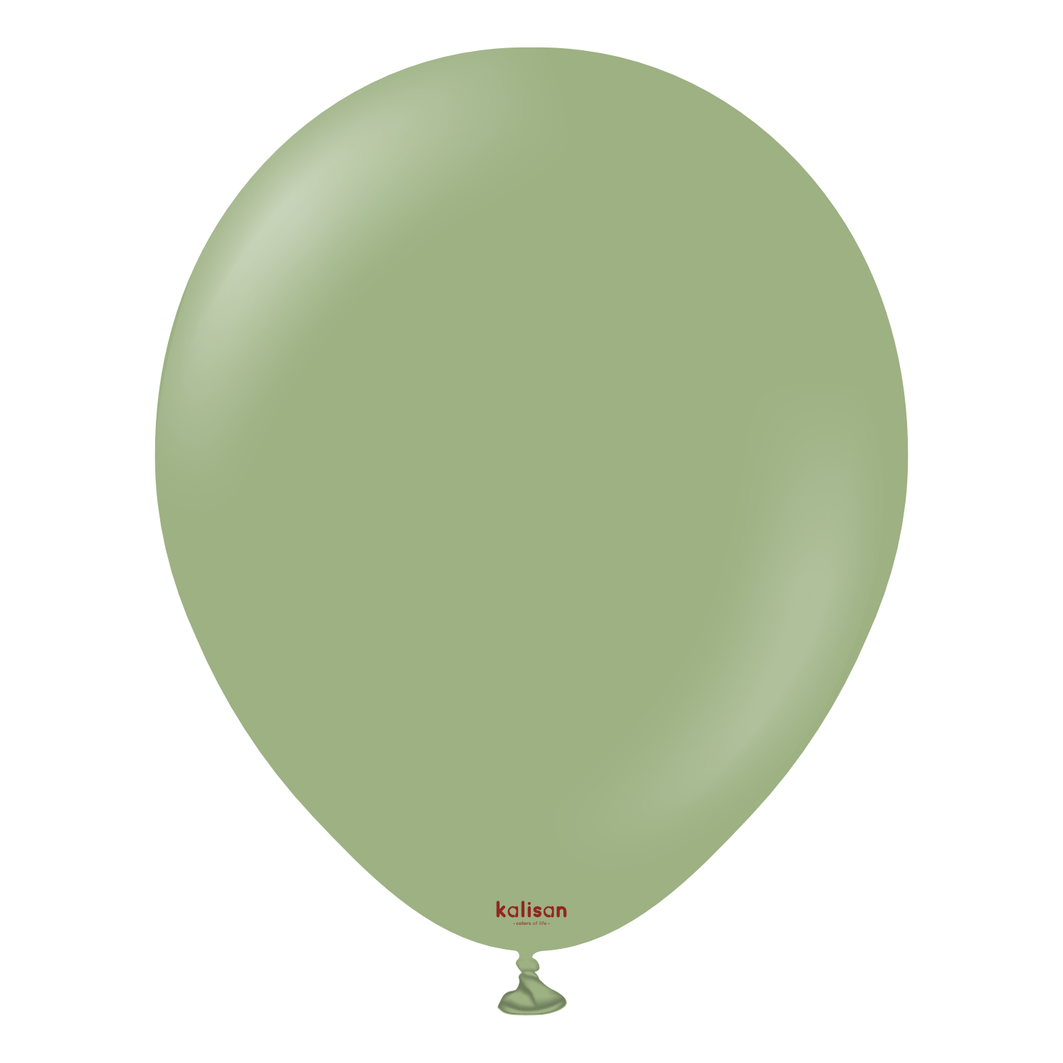 12'' Retro Balon Okaliptüs (Eucalyptus) 100’lü