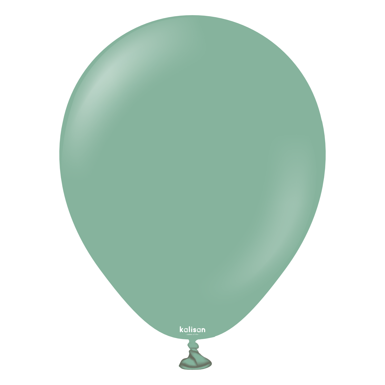 5'' Retro Balon Adaçayı (Sage) 100’lü