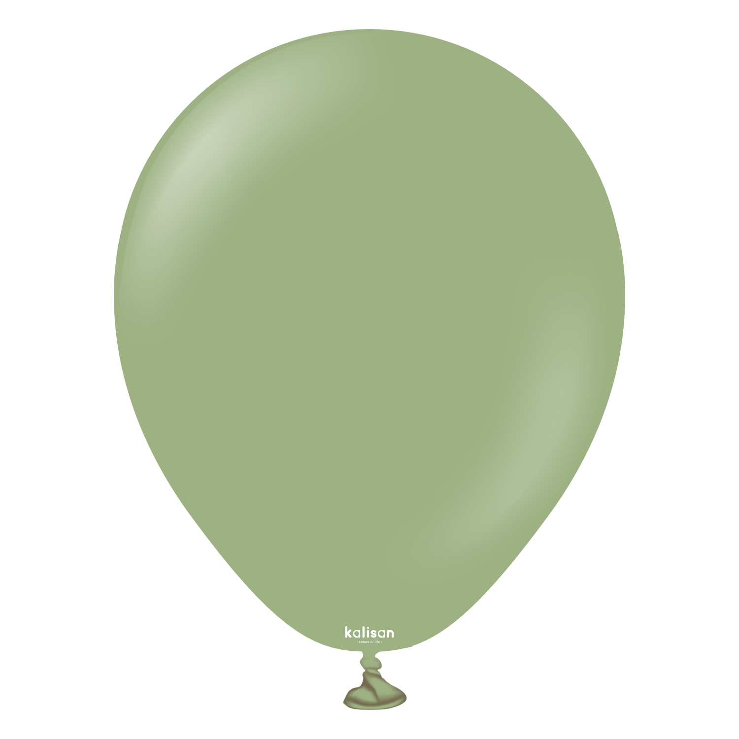 5'' Retro Balon Okaliptüs (Eucalyptus) 100’lü