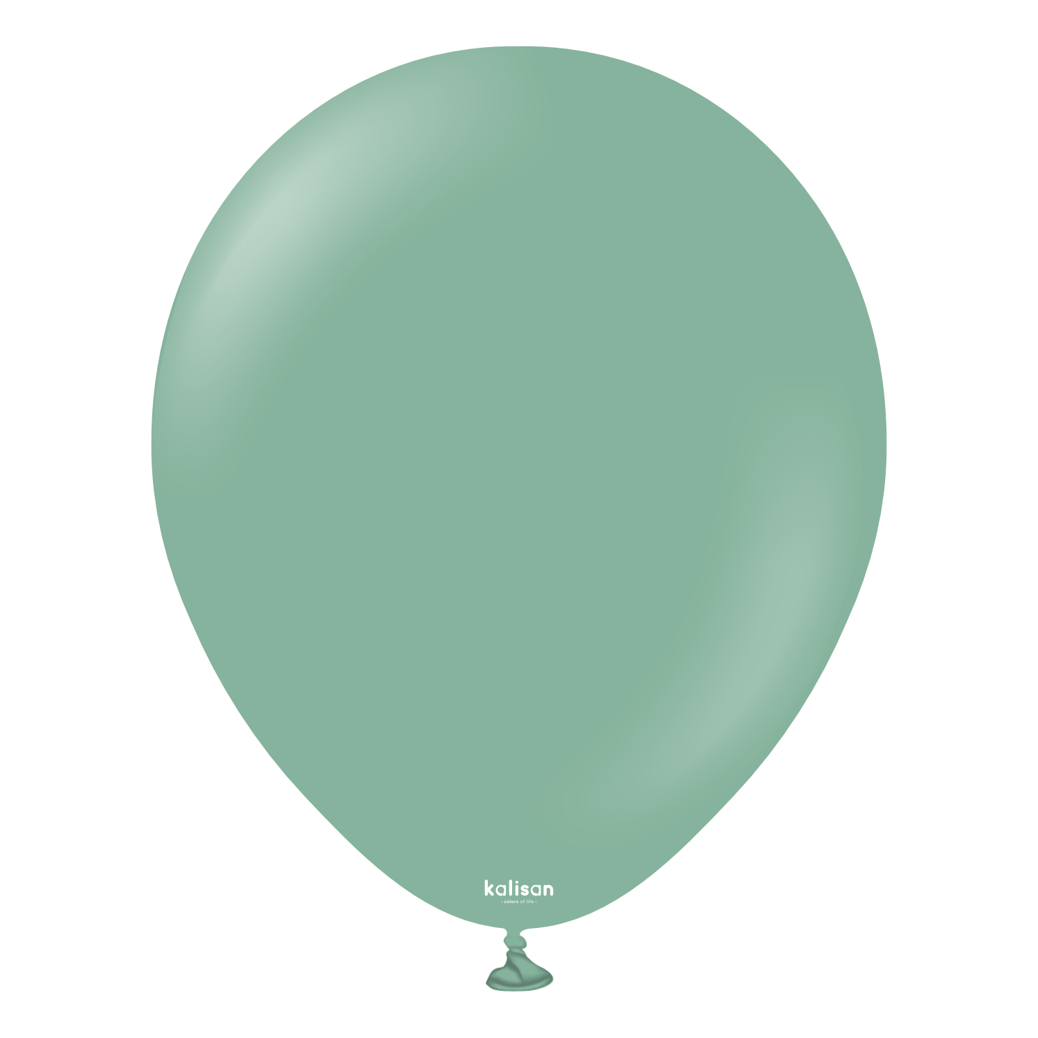 18'' Retro Balon Adaçayı (Sage) 5'li