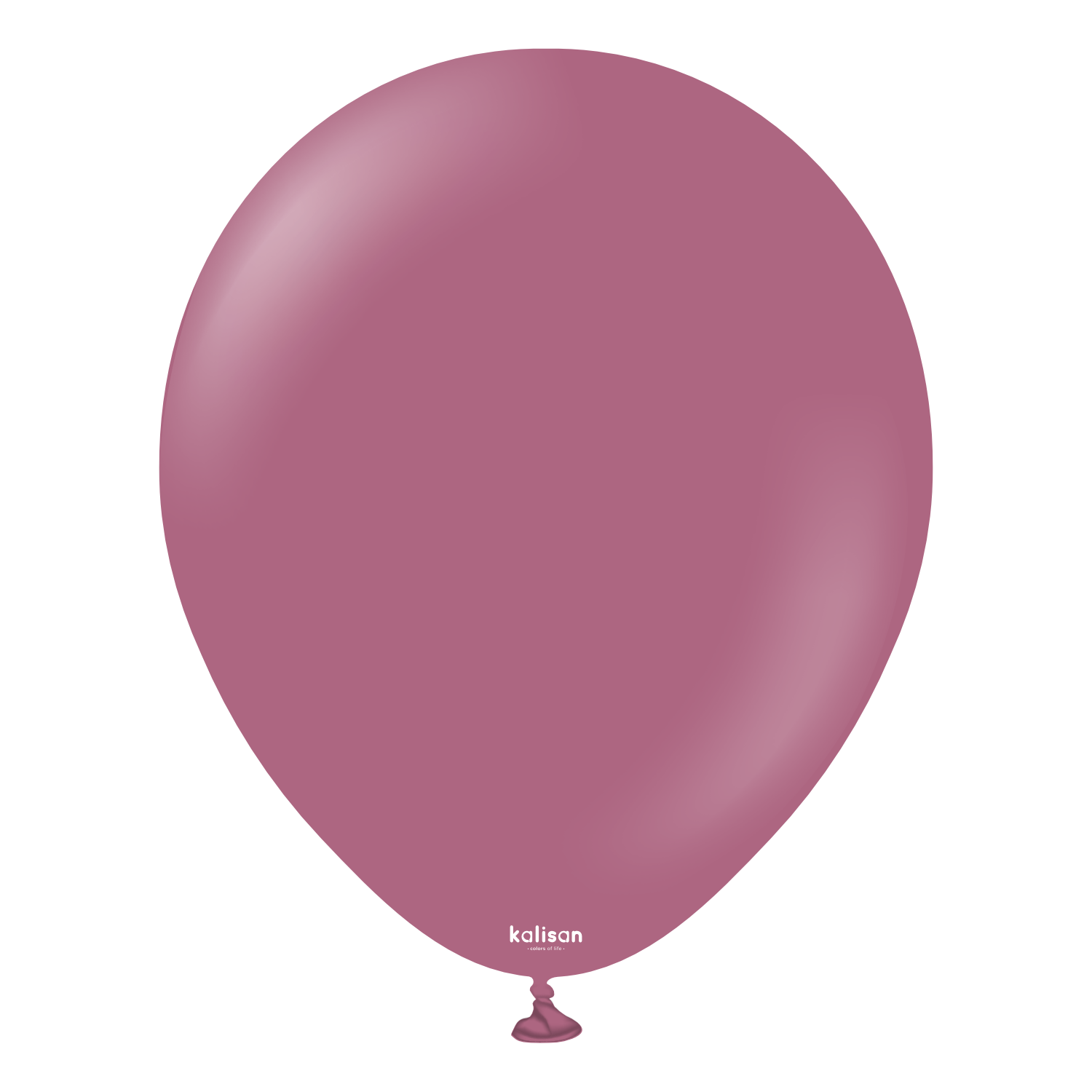 18'' Retro Balon Yaban Çileği (Wild Berry) 5'li
