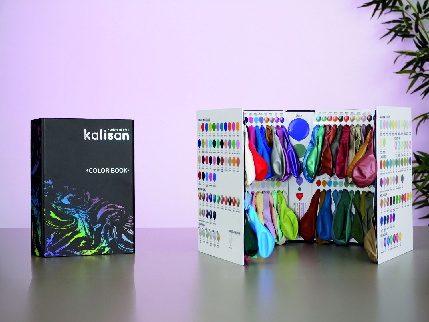 Kalisan Büyük Renk Kataloğu