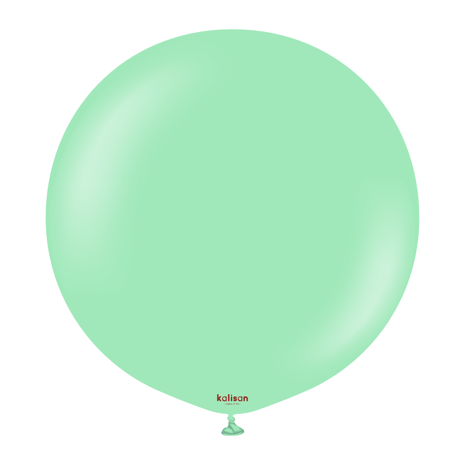 24'' Standart Balon Mint Yeşili (Mint Green) 2'li