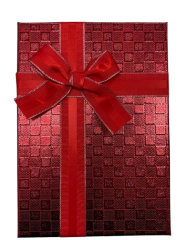 3'lü Kırmızı Kare Desenli Dikdörtgen Kutu 16x22,5