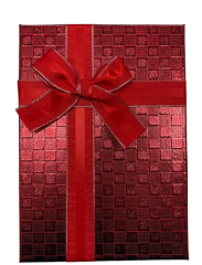 3'lü Kırmızı Kare Desenli Dikdörtgen Kutu 16x22,5