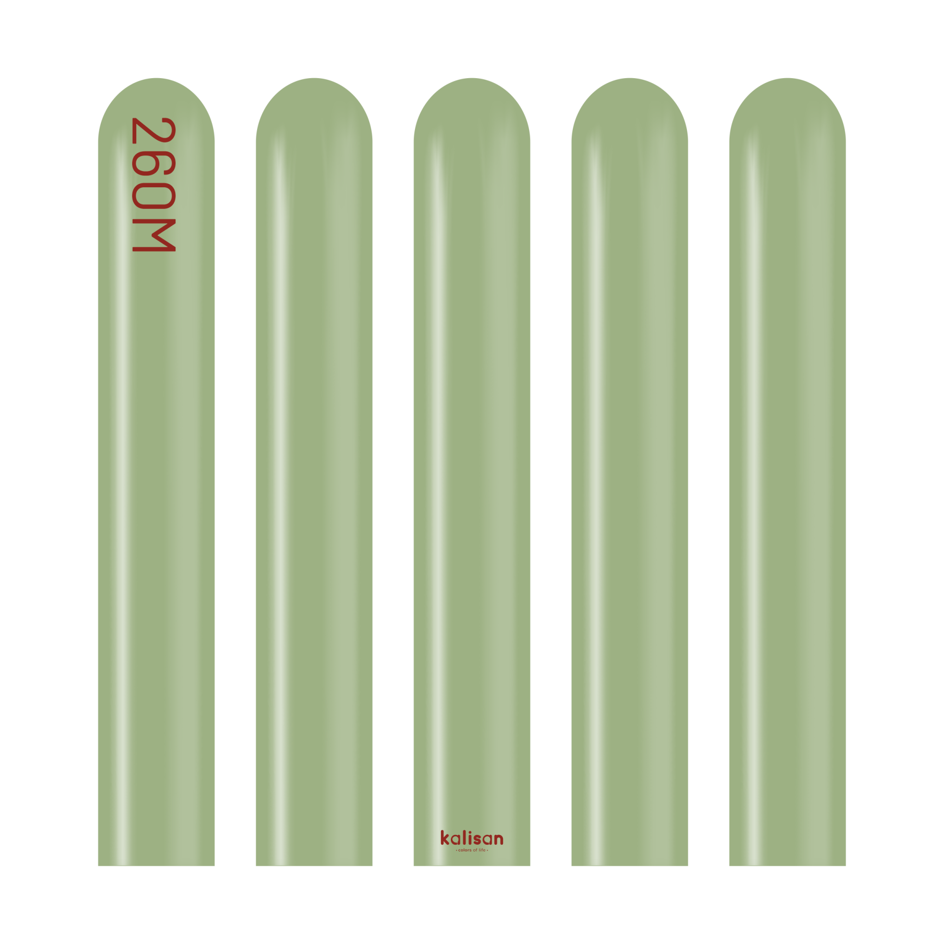 Retro Okaliptüs Sosis Balon (Eucalyptus) 100'lü