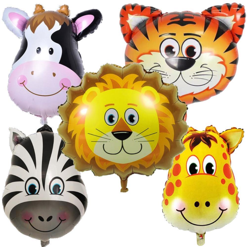 Safari 5'li Folyo Set