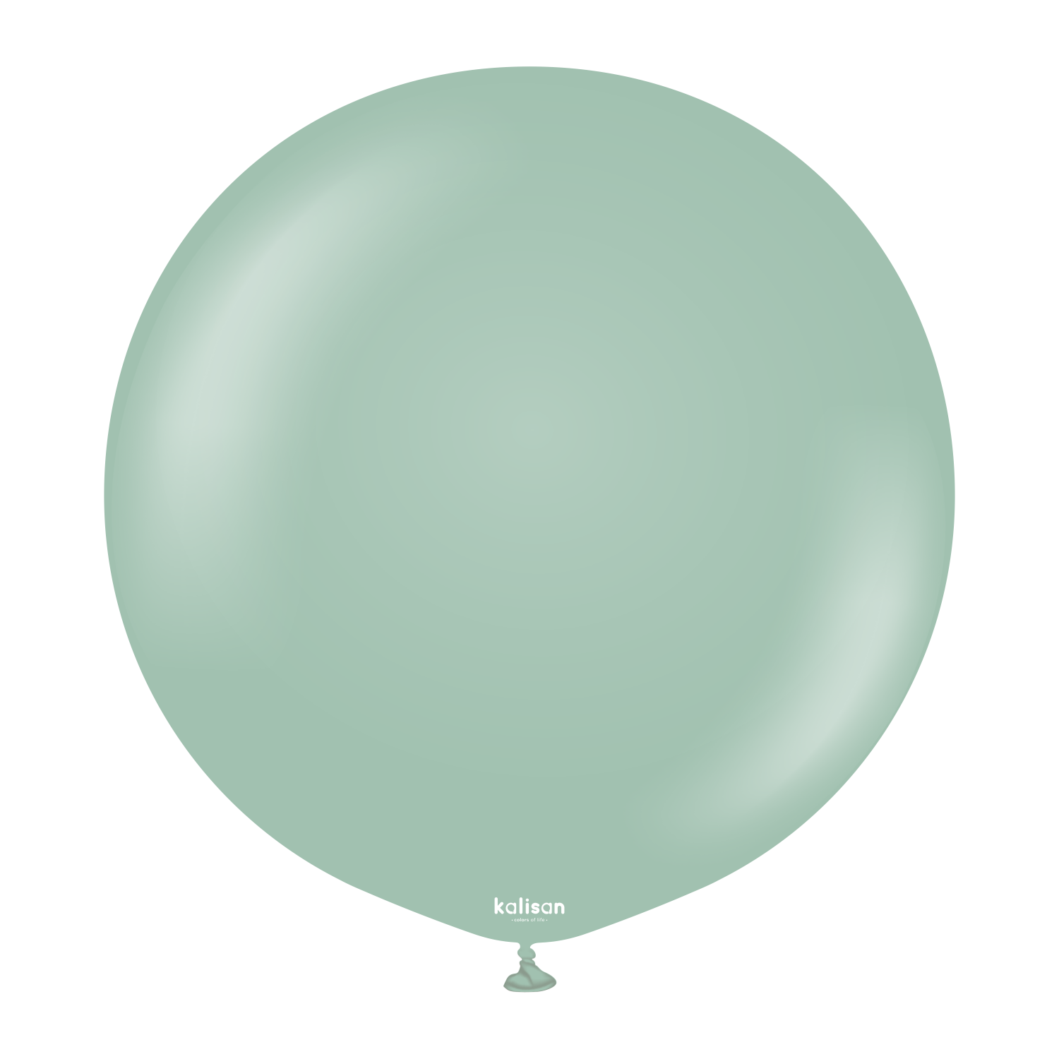 24'' Retro Balon Kış Yeşili (Winter Green) 2'li