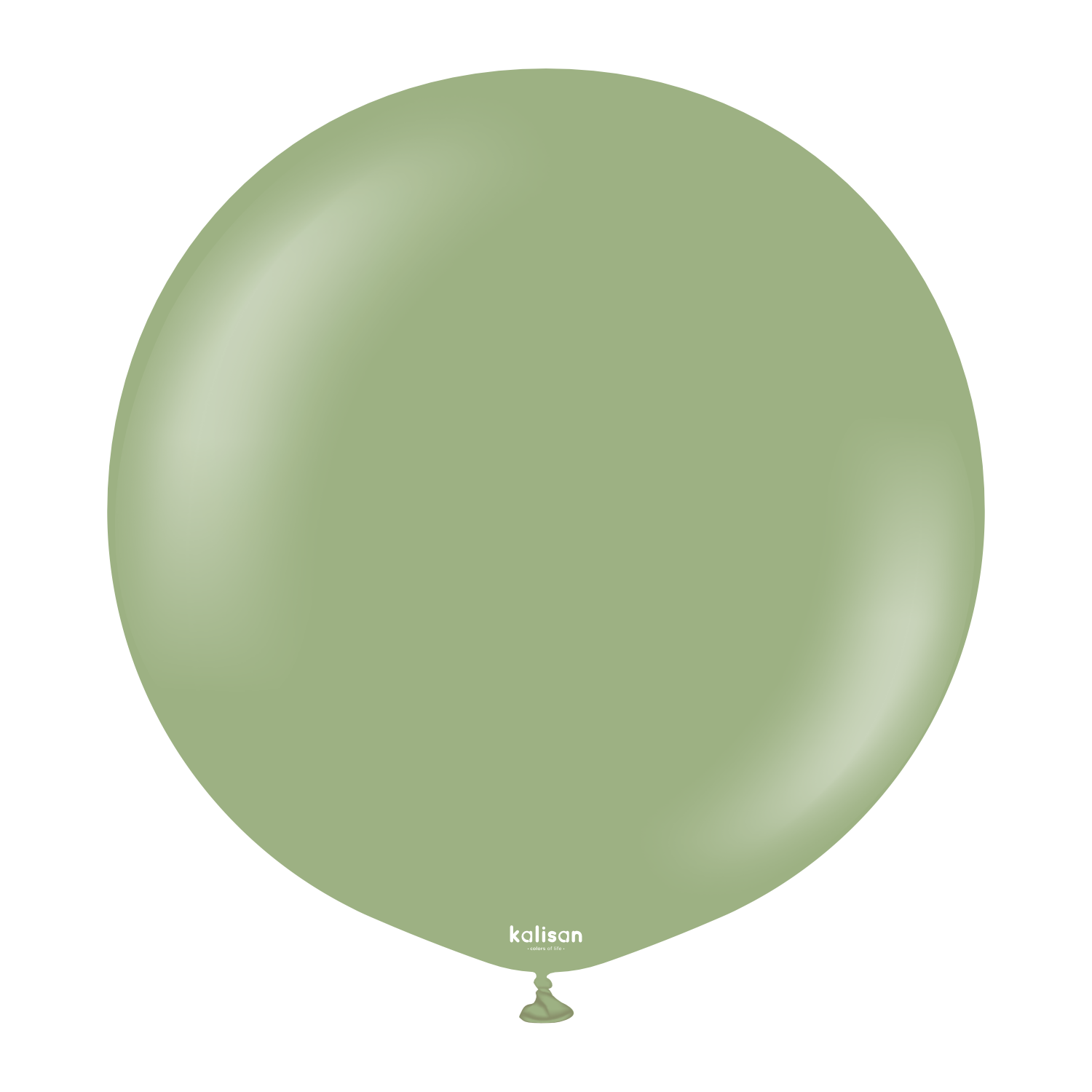 24'' Retro Balon Okaliptüs (Eucalyptus) 2'li