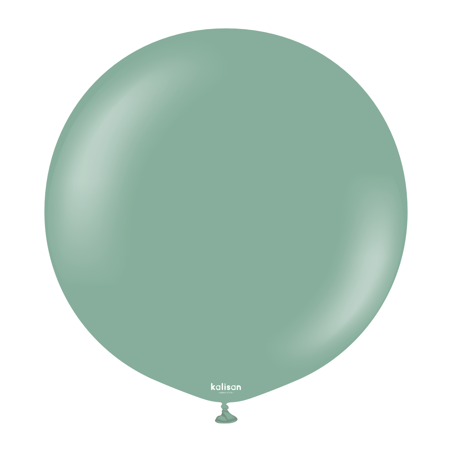 24'' Retro Balon Adaçayı (Sage) 2'li