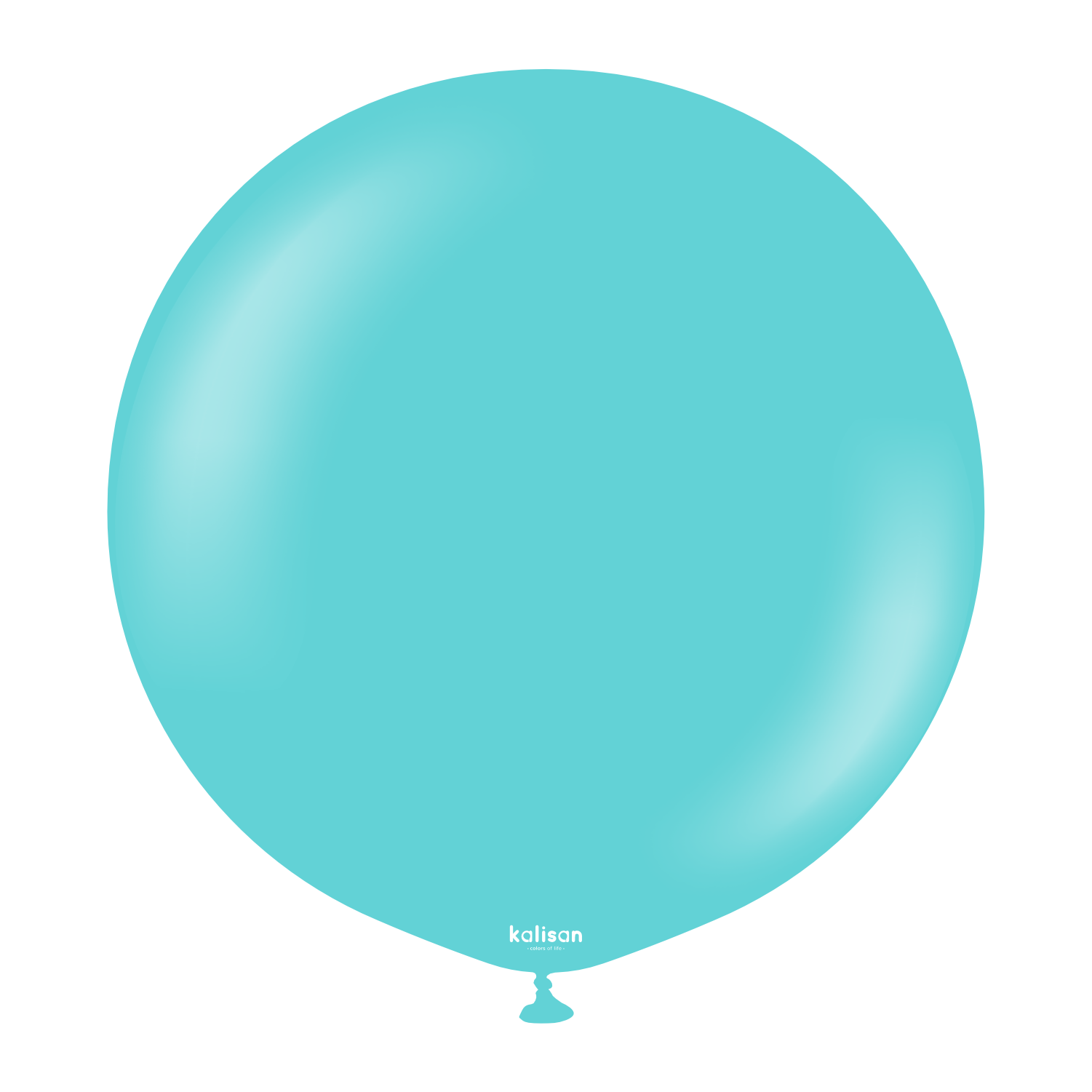 24'' Standart Balon Aqua 2li